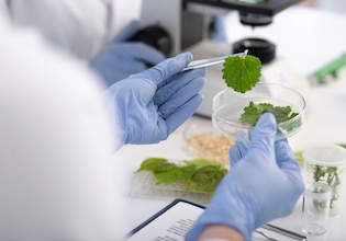 Biotechnology photos