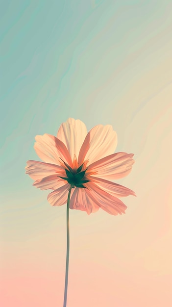 Flower Blooms Against Gradient