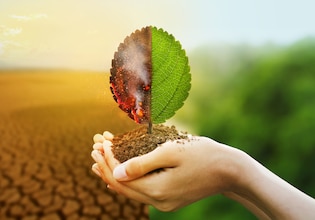 Climate change photos