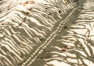 beach photos