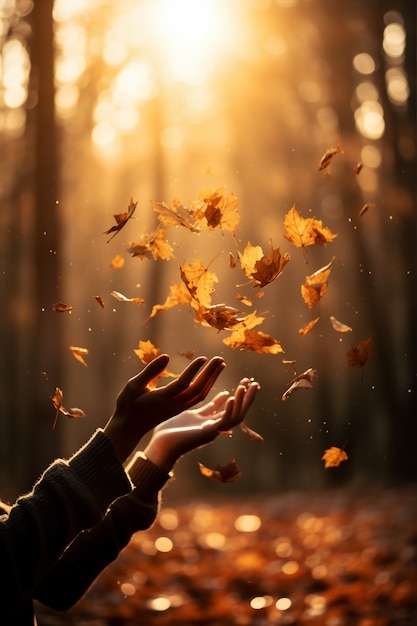 View of dry autumn leaves
